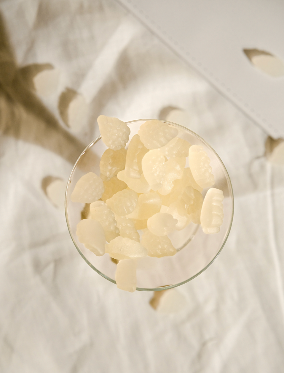Gomme Sauvignon Wine Gum - Mini boîte - 'Plaisirs Personnels'