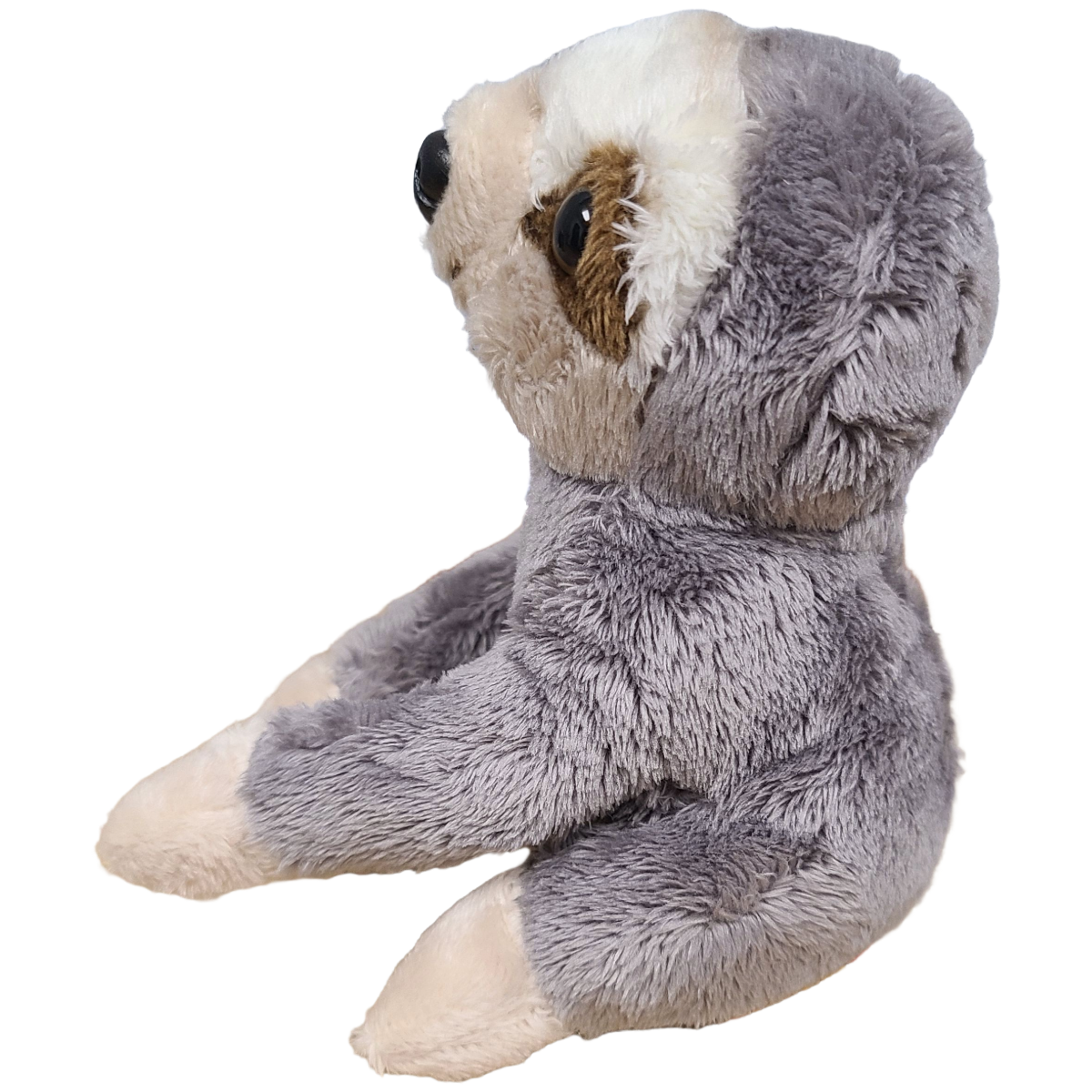 Peluche en peluche Twiggy le paresseux en conserve avec blagues amusantes