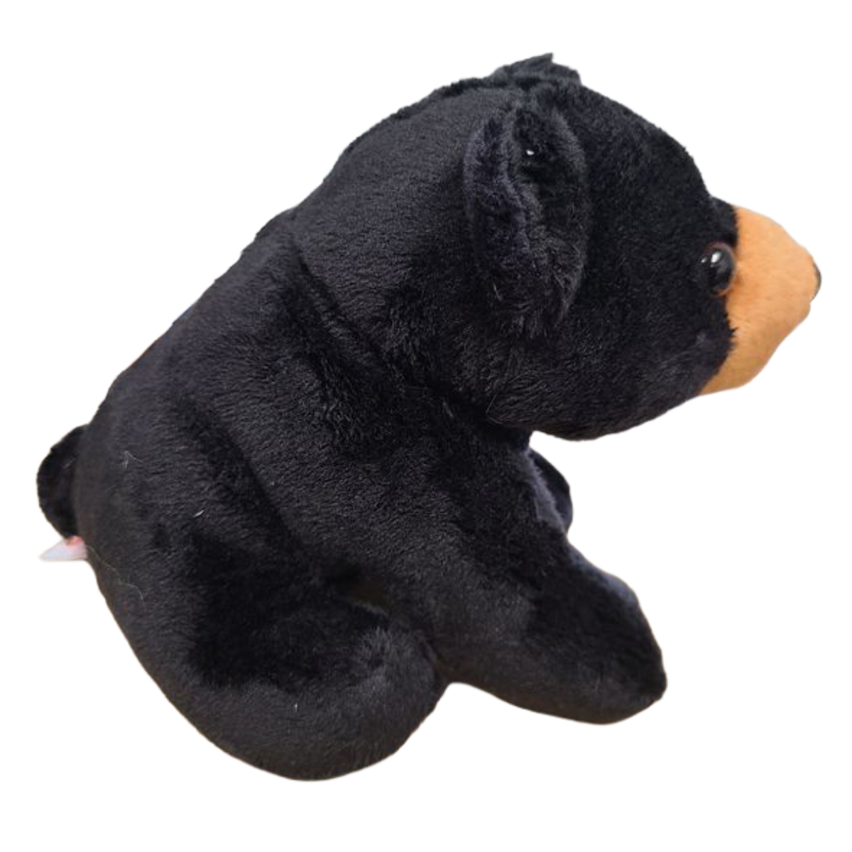 Peluche Russ l'ours noir en conserve | Peluche de zoo en peluche avec blagues | Cadeau