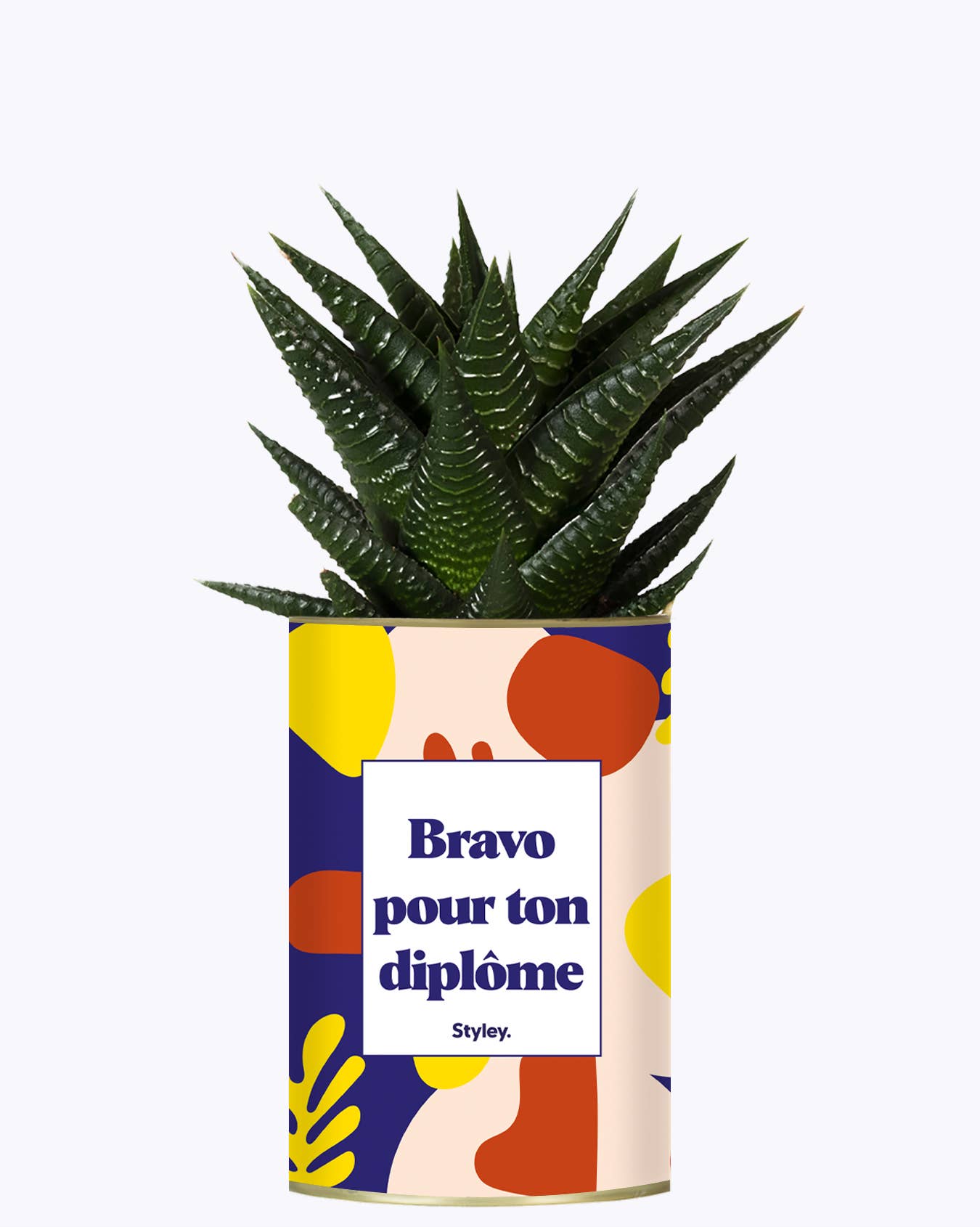 Plante Bravo pour ton diplôme