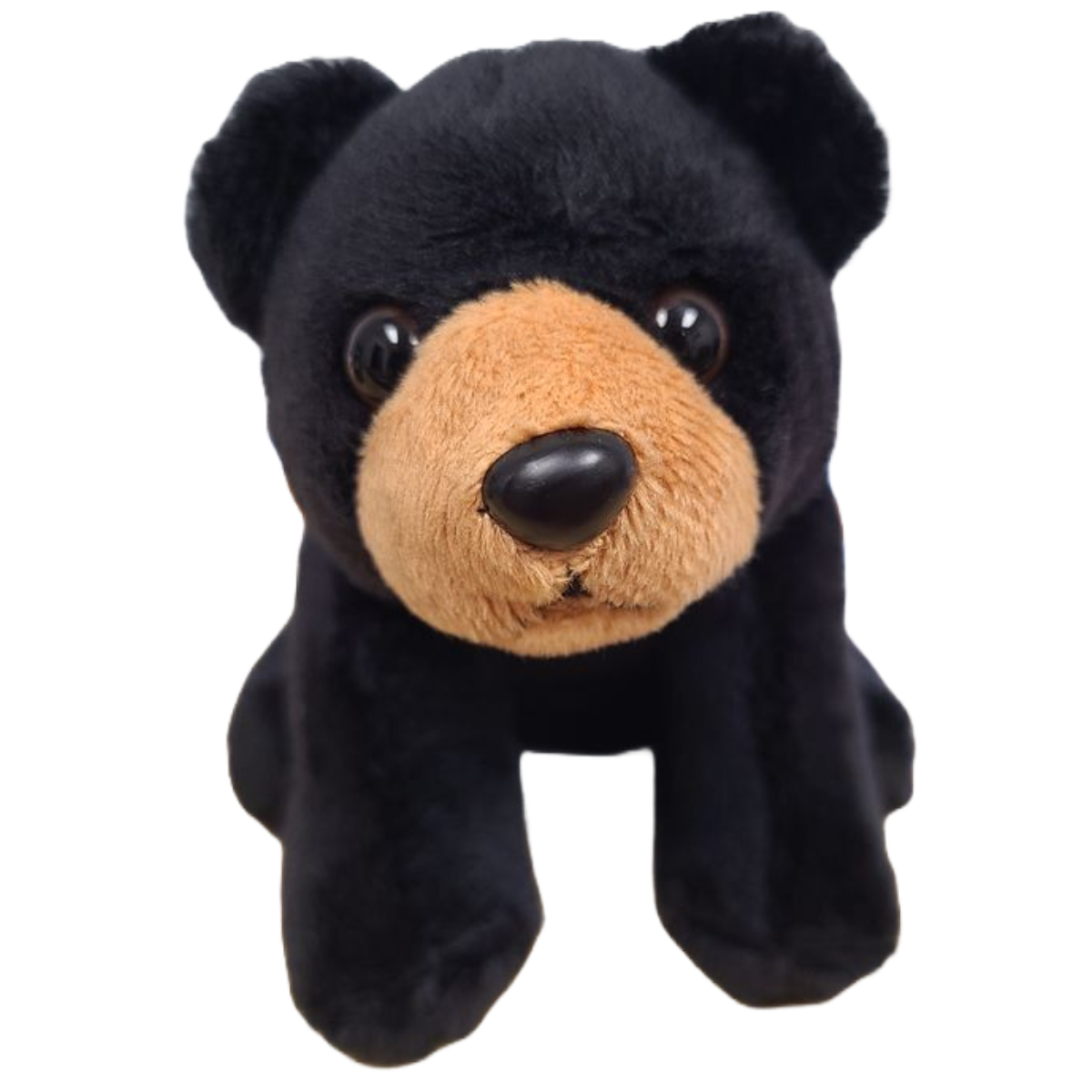 Peluche Russ l'ours noir en conserve | Peluche de zoo en peluche avec blagues | Cadeau