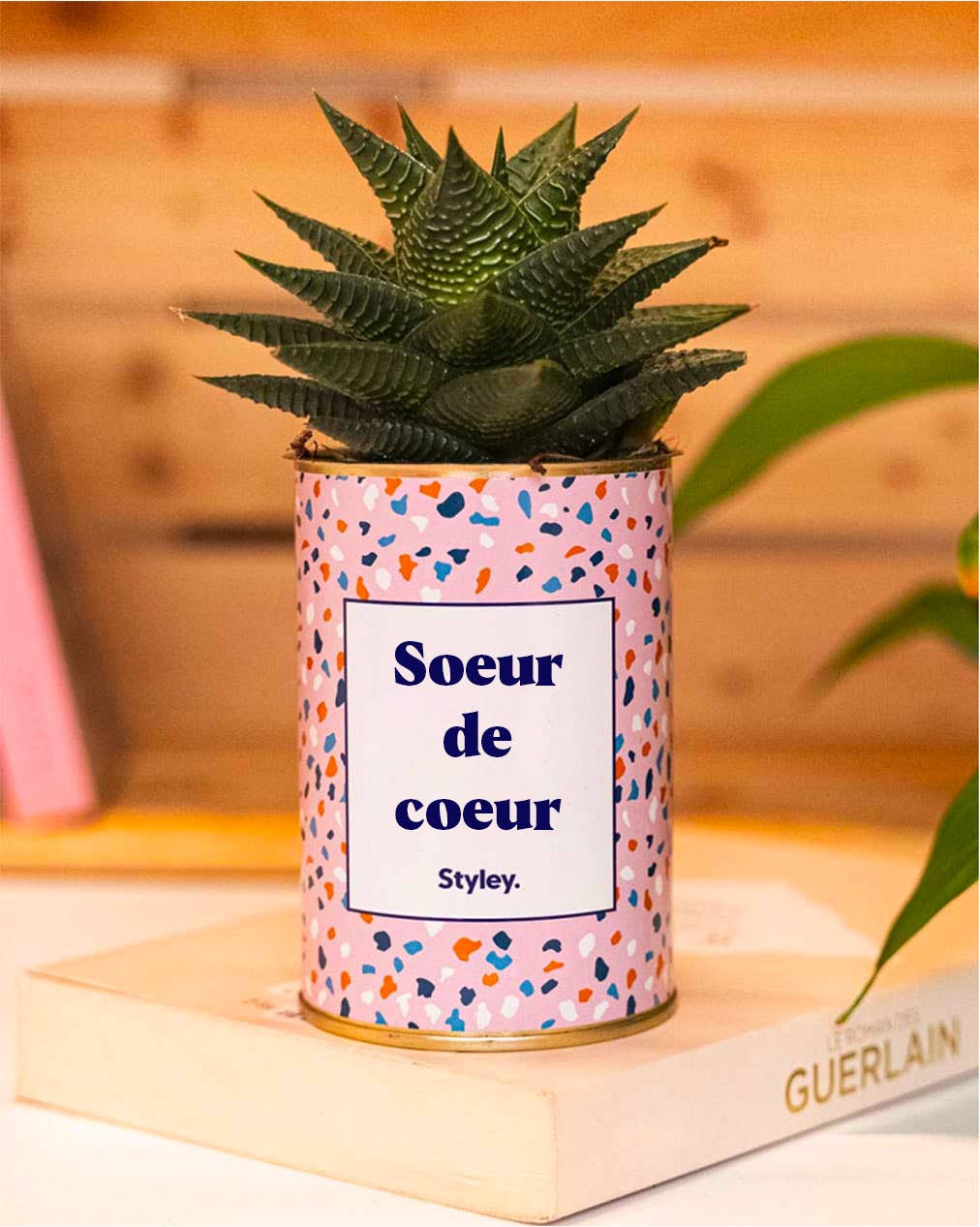 Plante Soeur de coeur