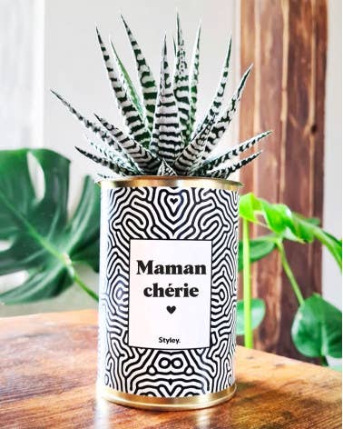 Plante Maman chérie